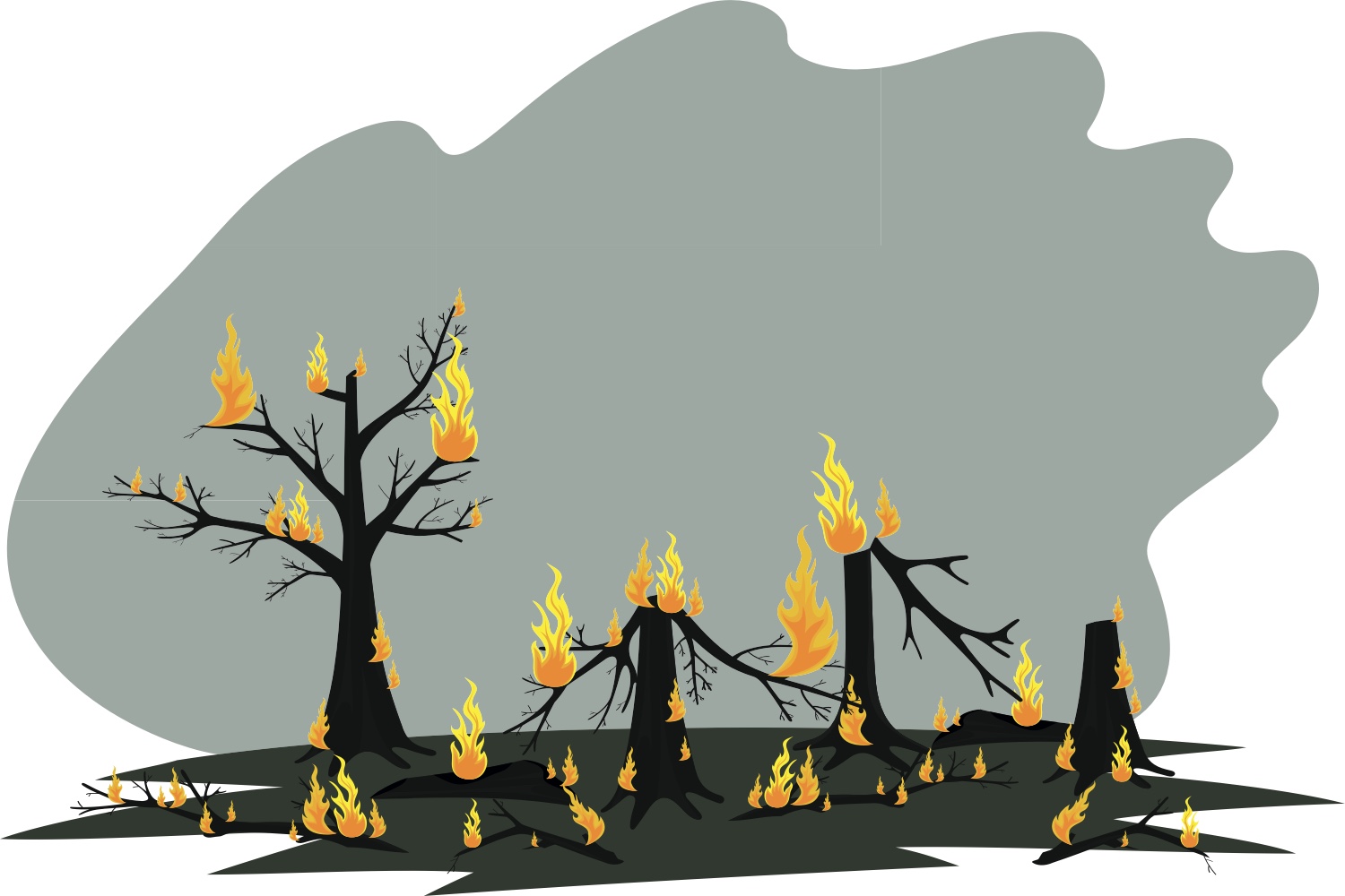 Идея: ввести регулярные мероприятия по ликвидации засохших деревьев